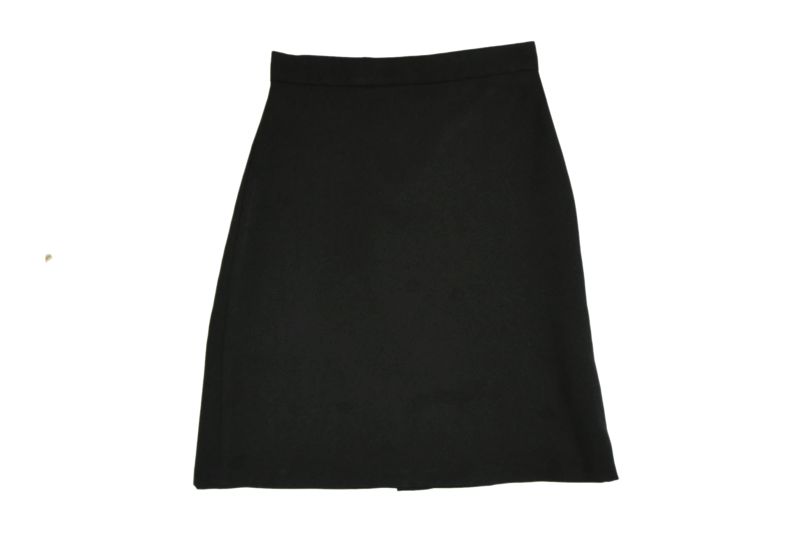 GOLDRIDGE PENCIL SKIRT | Enbee Stores