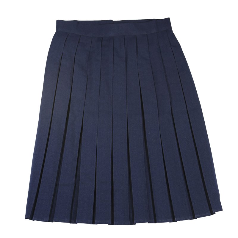 NAVY PLEATED SKIRT | Enbee Stores